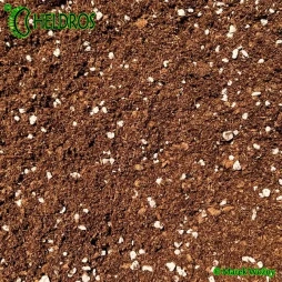 Muchołówka 5 nasion + Torf kwaśny, Perlit mix 2 litry